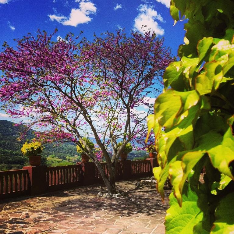Masia Vista Hermosa Vallromanes Exteriér fotografie